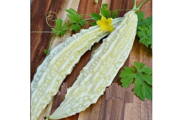 Karela White (Bitter Gourd)