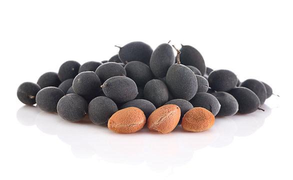 Velvet Tamarind / Gal Siyambala / Pattu Pulli (Kaddupuli)