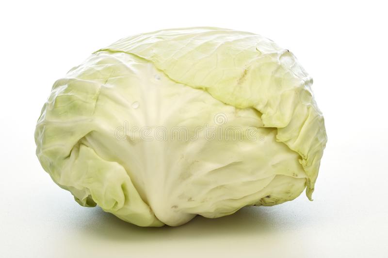Cabbage White