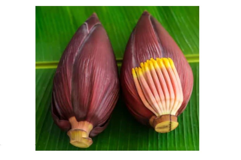 Banana Flower