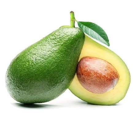 Avacado Green Small