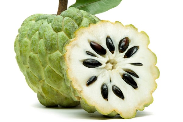 Custard Apple Class 1